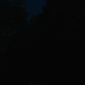 Meet your Posher, Shelby